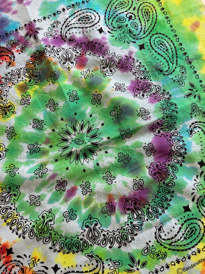 Ellie B's Creations - Rainbow Paisley Tie Dye Bandanna - Tie Dye Handkerchief - Dyed Bandana - Colorful Bandana
